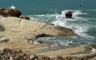 Wycieczka Marathon Jeep Safari - Narodowy Park Akamas z Pissouri